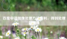 百度申请图像处理方法专利，得到处理后图像
