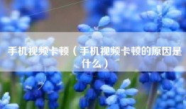 手机视频卡顿（手机视频卡顿的原因是什么）
