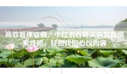 高效管理收藏，小红书收藏夹内智能搜索攻略，轻松找回心仪内容