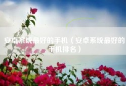 安卓系统最好的手机（安卓系统最好的手机排名）