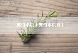 支付手机（支付手机费）