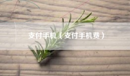 支付手机（支付手机费）