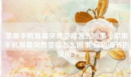 苹果手机屏幕突然变暗怎么回事（苹果手机屏幕突然变暗怎么回事 自动调节也没用）