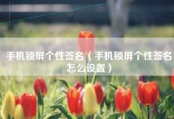 手机锁屏个性签名（手机锁屏个性签名怎么设置）
