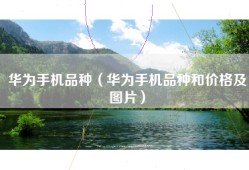 华为手机品种（华为手机品种和价格及图片）