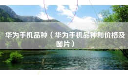 华为手机品种（华为手机品种和价格及图片）