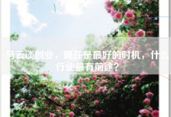 马云谈创业，现在是最好的时机，什么行业最有前途？