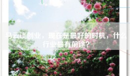 马云谈创业，现在是最好的时机，什么行业最有前途？
