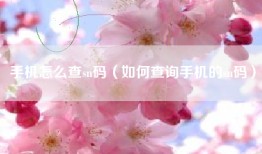 手机怎么查sn码（如何查询手机的sn码）