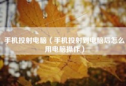 手机投射电脑（手机投射到电脑后怎么用电脑操作）