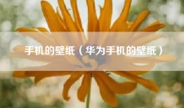 手机的壁纸（华为手机的壁纸）