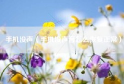 手机没声（手机没声音怎么恢复正常）