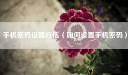手机密码设置方法（如何设置手机密码）