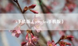 a手机版（geogebra手机版）