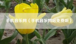手机音乐网（手机音乐网站免费听）