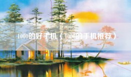 1000的好手机（1000的手机推荐）