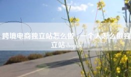 跨境电商独立站怎么做 , 一个人怎么做独立站shopify