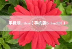 手机版python（手机版Python3IDE）