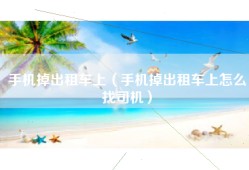 手机掉出租车上（手机掉出租车上怎么找司机）
