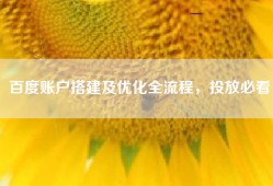 百度账户搭建及优化全流程，投放必看