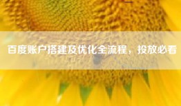 百度账户搭建及优化全流程，投放必看