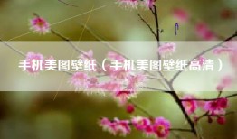 手机美图壁纸(手机美图壁纸高清)