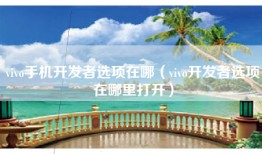 vivo手机开发者选项在哪（vivo开发者选项在哪里打开）