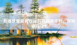 有播放量就有收益的自媒体平台，你知道几个？