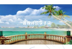 客观评价李子柒