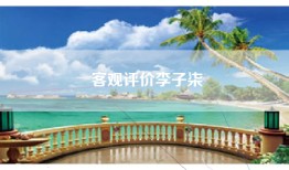 客观评价李子柒