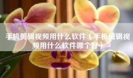 手机剪辑视频用什么软件（手机剪辑视频用什么软件哪个好）