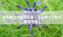 街头霸王下载手机版（街头霸王下载手机版苹果）