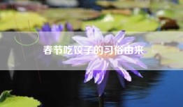 春节吃饺子的习俗由来