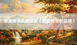 曲面屏手机哪款好（曲面屏手机品牌）