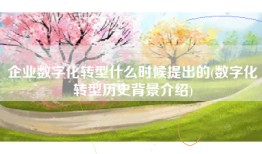 企业数字化转型什么时候提出的(数字化转型历史背景介绍)