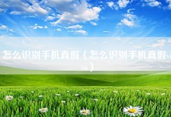 怎么识别手机真假（怎么识别手机真假vivo）