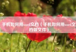 手机如何用word文档（手机如何用word文档做文件）