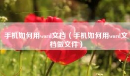 手机如何用word文档（手机如何用word文档做文件）