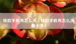 硅胶手机壳怎么洗（硅胶手机壳怎么洗最干净）
