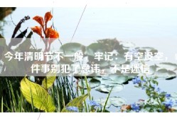 今年清明节不一般，牢记：有空没空，4件事别犯了忌讳，不是迷信