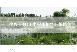 中兴手机7（中兴手机7541n价格）