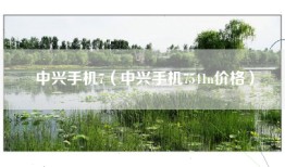 中兴手机7（中兴手机7541n价格）