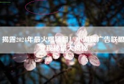 揭露2024年最火爆项目！小游戏广告联盟变现秘籍大揭秘