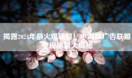 揭露2024年最火爆项目！小游戏广告联盟变现秘籍大揭秘