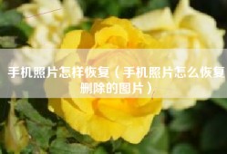 手机照片怎样恢复（手机照片怎么恢复删除的图片）