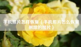 手机照片怎样恢复（手机照片怎么恢复删除的图片）