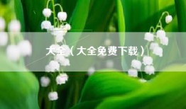大全（大全免费下载）