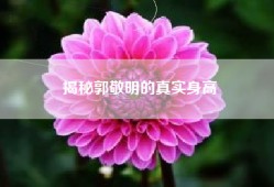 揭秘郭敬明的真实身高