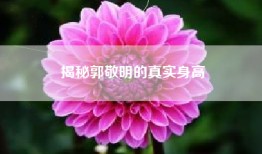 揭秘郭敬明的真实身高