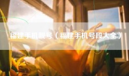 福建手机靓号（福建手机号段大全）